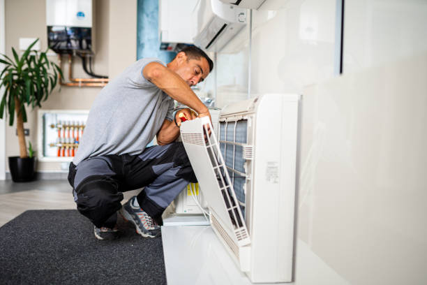 Best Affordable Duct Cleaning Services  in Parkway, CA