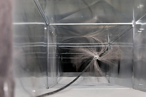 Best Air Duct Mold Removal  in Parkway, CA