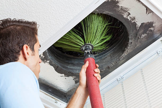 Air Duct Mold Removal in Parkway, CA